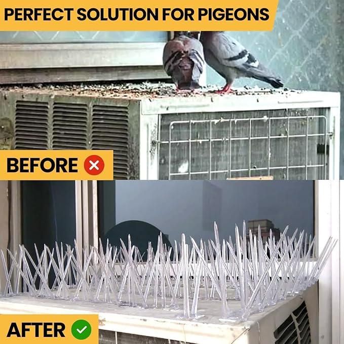 Pigeon Control Spikes Set of 10
