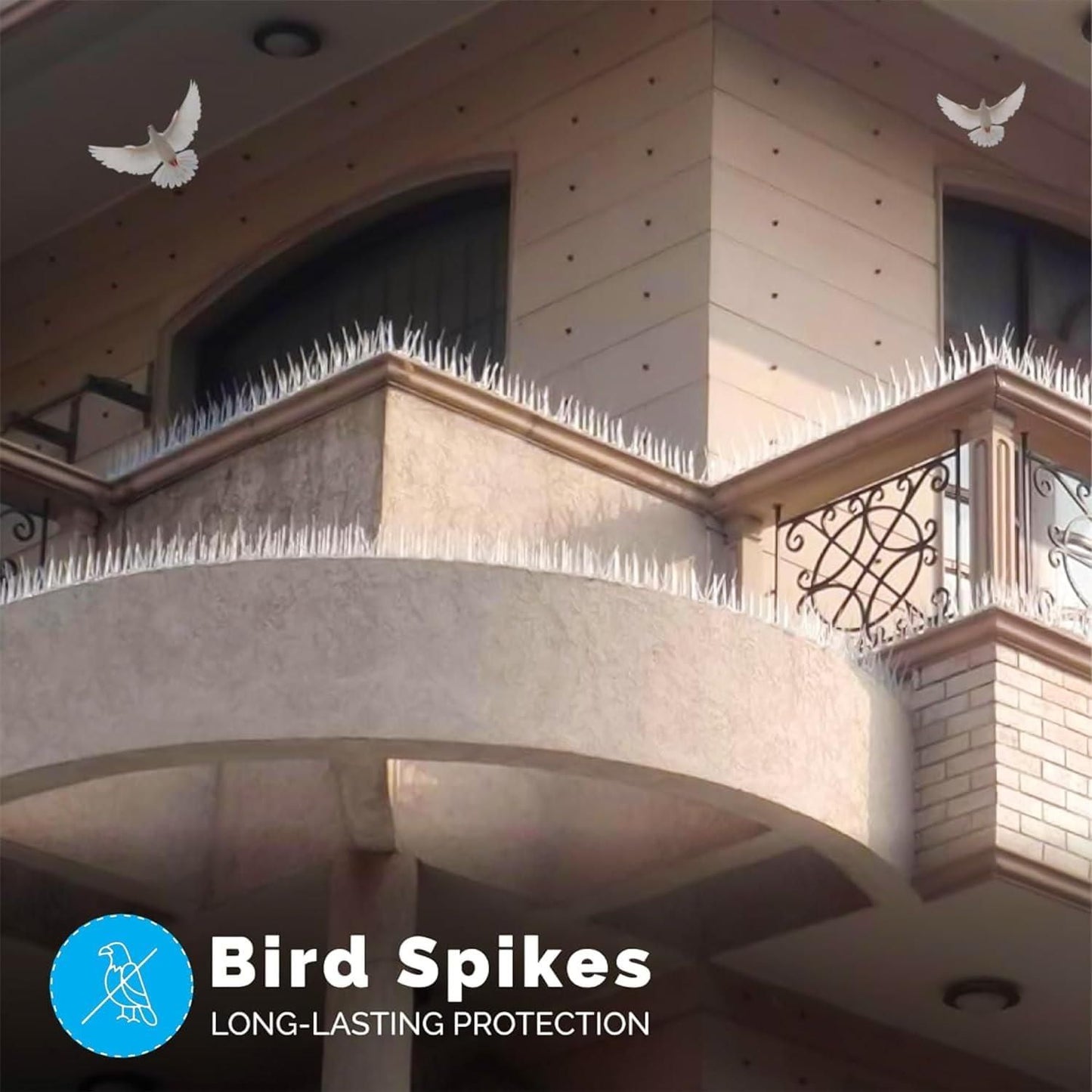 Pigeon Control Spikes Set of 10