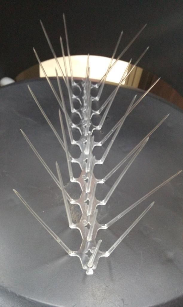 Pigeon Control Spikes Set of 10