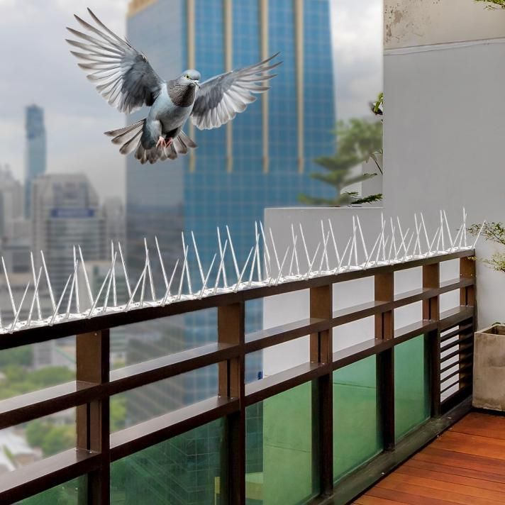 Pigeon Control Spikes Set of 10