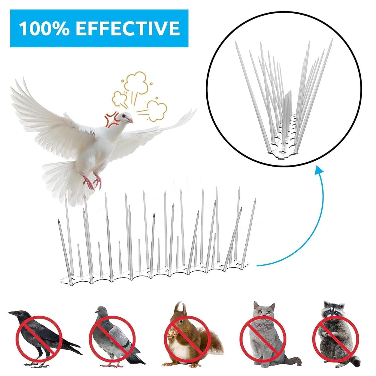 Pigeon Control Spikes Set of 10