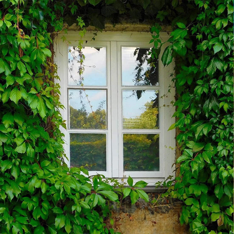 One - Way Window Privacy Film   Static Cling, Self - Adhesive Vinyl   Blocks UV, Insulates & Controls Heat