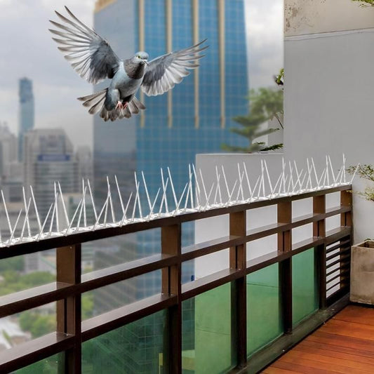 Pigeon Control Spikes Set of 10