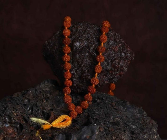 Rudraksha Jaap Mala 108 Beads